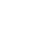 Void Logo
